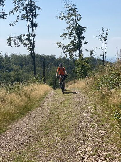 Ich habe es auch geschafft.