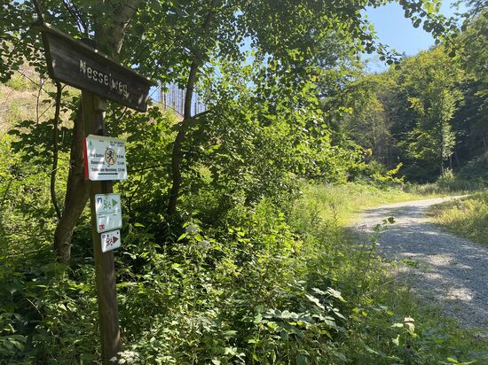 Zum eingewöhnen erstmal „nur“ 12% Steigung auf festgefahrenem Schotter.