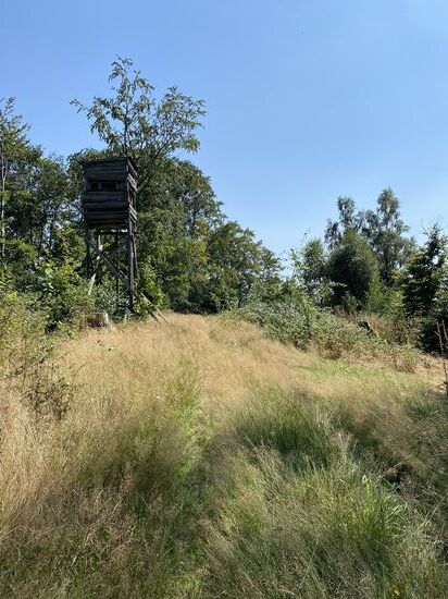 Wer genau hinschaut, erkennt auch einen Weg. Also weite geht’s…