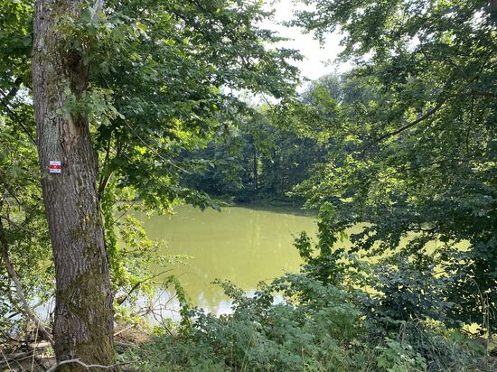Genau gegenüber ist dieser See. Das Wasser ist fast so grün wie die zähe Oberfläche des Tümpels. Ist aber nicht ungewöhnlich. Zumindest haben wir diese Farbe des Wassers öfters gesehen.