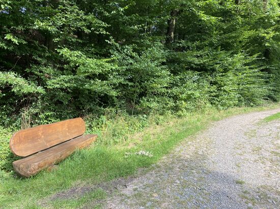 Ungewöhnliche Form einer Bank. Kann noch nicht sehr alt sein. Das Holz glänzt noch. 100 Meter weiter steht die gleiche Art. Nur ist die bestimmt schon 20 Jahre alt. 
Massiver kann sie kaum gebaut werden.