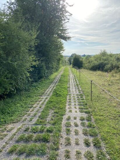 Ein ehemaliger Kolonnenweg. Hier sind die DDR Grenzsoldaten unterwegs gewesen. 
Dieser ist mit dem Fahrrad recht gut zu befahren, da die Öffnungen in den Betonplatten fast vollständig zugewachsen sind. Sie sind nämlich so breit, das selbst ein MTB Reifen dort rein passt. Und immer genau auf den durchgehenden Streifen zu bleiben ist garnicht so einfach.