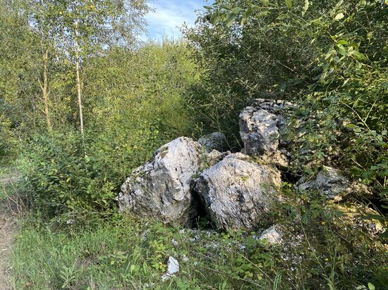 Die liegen hier überall rum. Glücklicherweise nur am Rand der Wege. Da das Fahrrad rüberheben wäre eine echte plackerei.
