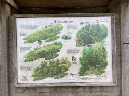 Es gibt immer wieder interessante Tafeln mit wissenswertem zur Entwicklung der Landschaft
