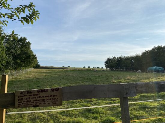 Ein Gnadenhof direkt vor den Toren der Stadt. 
Nun passt der NDW Titel ja doch.