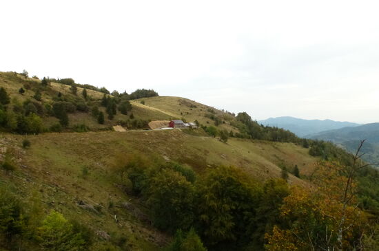 Blick zur Ferme Auberge Gustiberg unterhalb des Drumont