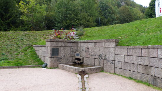 Source de la Moselle am Col de Bussang (715 m)