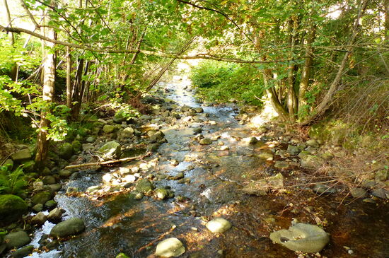 Die Moselle in St-Maurice-sur-Moselle