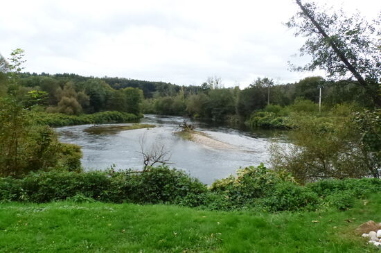 Hier, bei Eloyses, ist die Mosel noch ungezähmt.