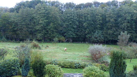 Blick aus dem Fenster meines Apartments in La Landre