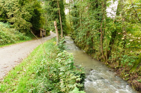 Der Ruisseau de Manderen bei Apach vor dem Tag mit Starkregen
