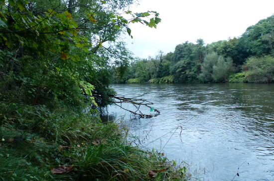 Kurz hinter Charmes finde ich diesen schönen Platz am Ufer der wilden Mosel.