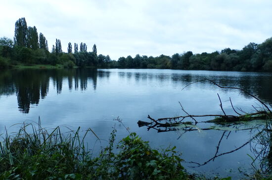 Das große Landschaftsschutzgebiet "Réserve naturelle de la Moselle sauvage" streife ich nur kurz.