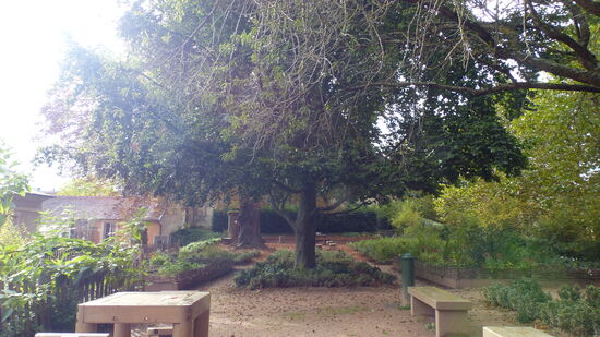 Noch so ein Ort für die Muße: Der kleine Jardin de la Citadelle.