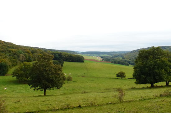 Zwischen Gorze und Ancy-sur-Moselle bietet sich dieser schöne Blick ins Gorzia-Tal.