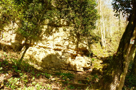 Treppenstufen entlang der Muschelkalkformationen am Stroumberg bei Schengen