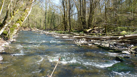 Zwischen Manternach und Mertert fließt die Syr in einem tiefen Tal unterhalb der Felswand "Manternacherfëls".