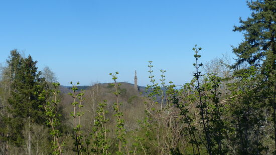 Blick zur Mariensäule auf dem Trierer Markusberg