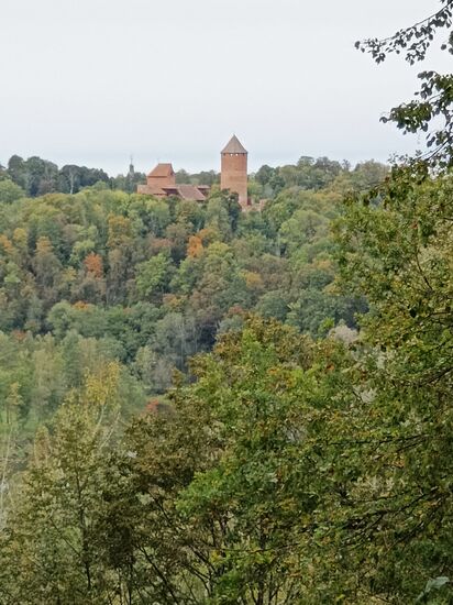 Turaidas pils (Burg Treyden)