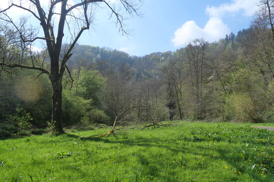Der vorangegangene Regentag war vergessen. Nahe der Ringelsteiner Mühle ist das Tal noch weit.