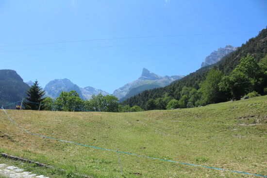 Blick in die Natur