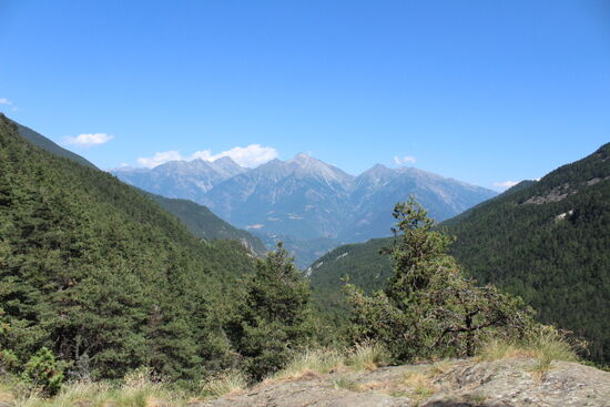 Blick auf die Natur beim Rückweg