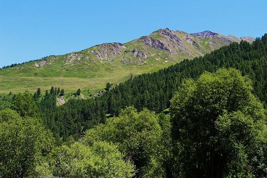 Und Blick in die Natur