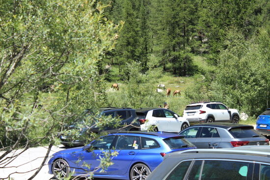 Eine Ruhezeit für das Auto bevor es wieder zum Hotel ging und der Urlaub sein Ende nahm
