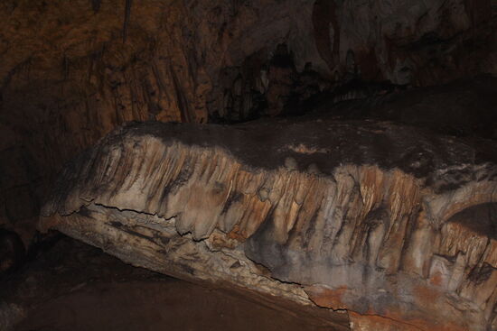 Besuch der Höhle in Postoinja 1