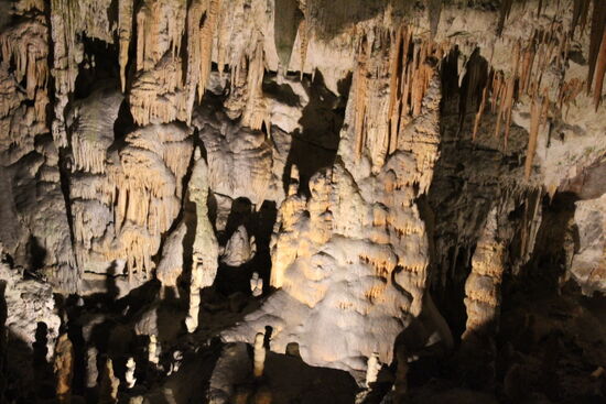 Besuch der Höhle in Postoinja 2