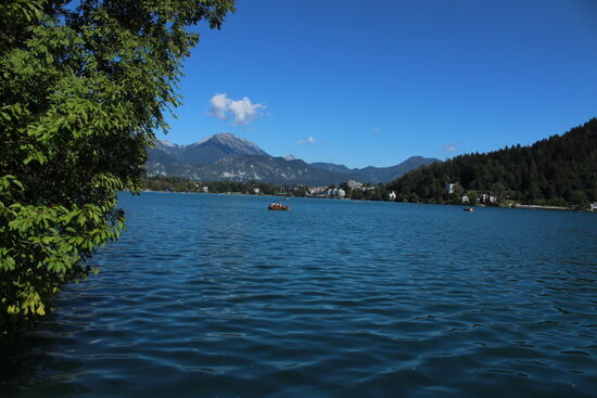 Blick auf den Bleder See von der Insel aus