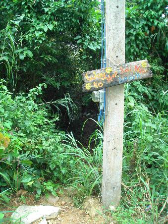 ja, genau, der Weg zum Haus. Gut das da ein Schild steht und man weiss, das es sich um einen Weg handelt...