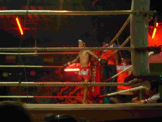 3 Kaesehoch, aber der Gewinner im Ring