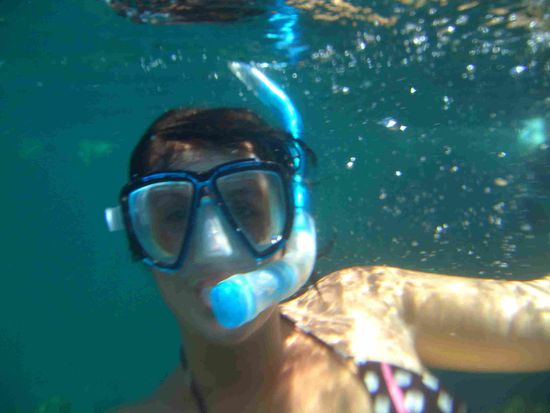 ...und den Clownfisch gibts hier auc zu sehen....