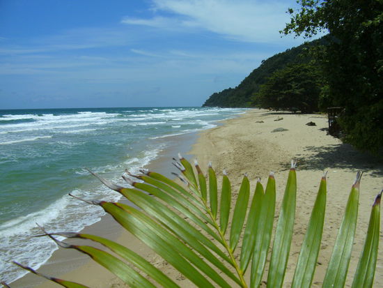White Sand Beach (Low Season - wenig betrieb, auch wegen der Swineflu)