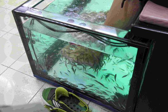 so richtig hinsehen mag man nicht...