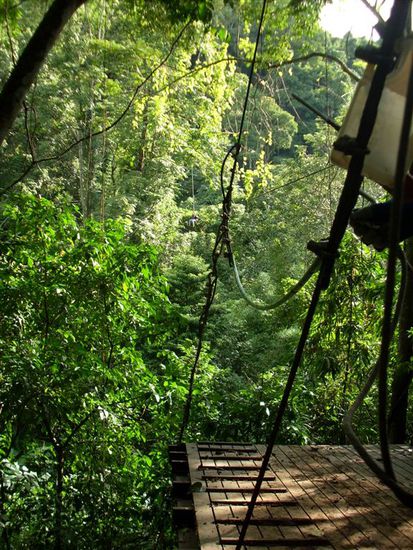...oft sieht man noch nichtmal den Boden, weil der Urwald so dicht ist..