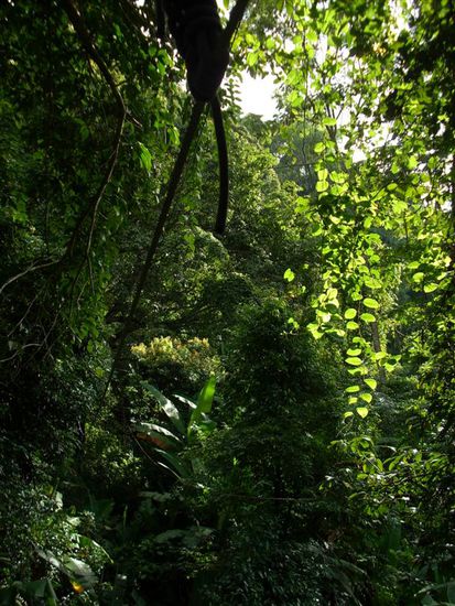 schade, dass ich leider nicht in der Lage bin, diese atemberaubende Stimmung und das viele viele Grün auf einem Foto einzufangen...