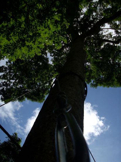 man war schon ziemlich weit oben...