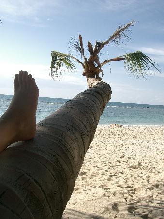 traumhafter Strand ... und immer so leer ...