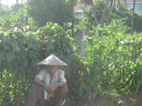ER IST LAOS. In reinster Form. Einfach schmauch-babatastig !!!