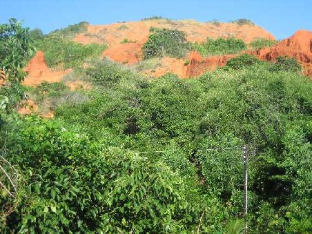Red Sand Dunes 1