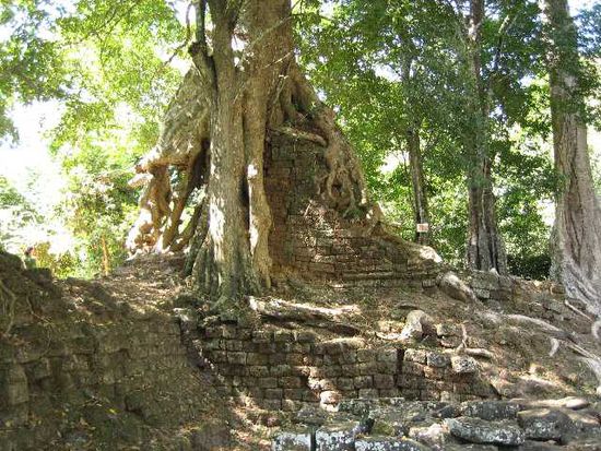 Im Tomb Raider Tempel