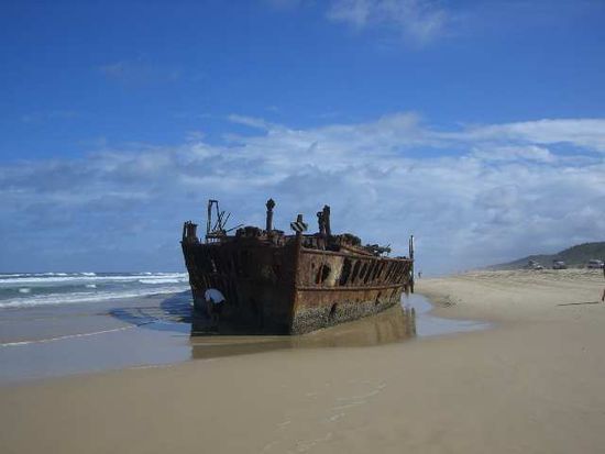 Wrack auf Frasier Island