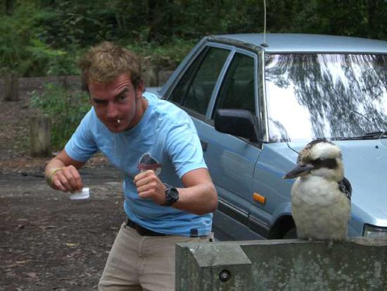 Ich hab nen Vogel