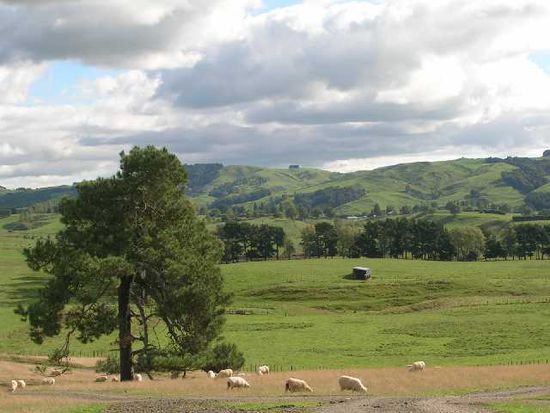 Pornorama