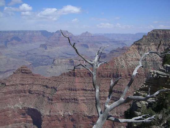 Grand Canyon 1