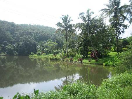 Netter See