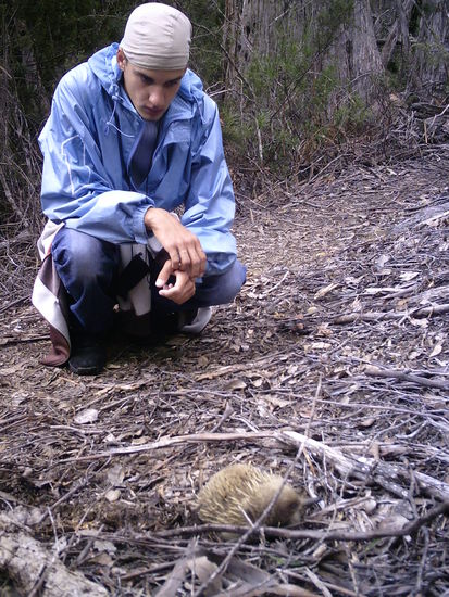 Das ist die kleine Igelkreatur aus naehester Naehe: