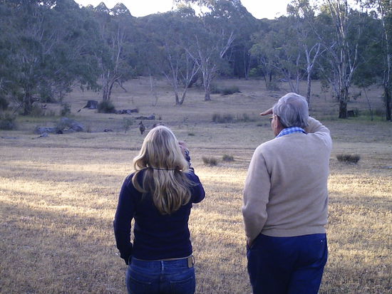 Auf der Suche nach Kangoroos